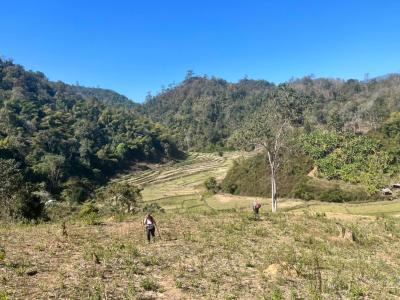Pauline Delallee and Family | Chiang Mai Trekking | Le meilleur trekking à Chiang Mai avec Piroon Nantaya